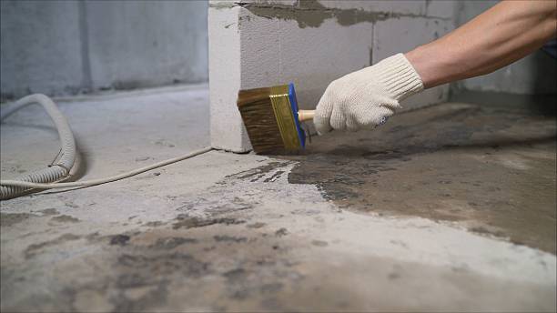 SJ Waterproofing Pros Waterproofing coverage map for Kellyton, AL and surrounding area